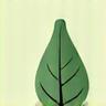 Leaf icon symbolizing sustainability